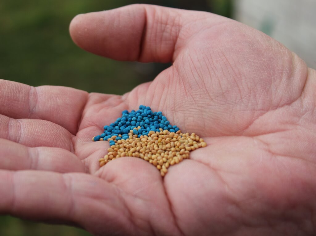 Beekeeper's Blossom Premium Clover Seed Mixture for Bee Nutrition and Hive Health