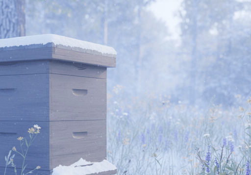Why Did My Hive Die in Winter? | Preparing Bees for Survival During Winter