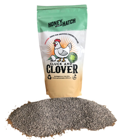 Cluck and Clover Premium Forage Seed Mixture for Feeding and Growing Chickens