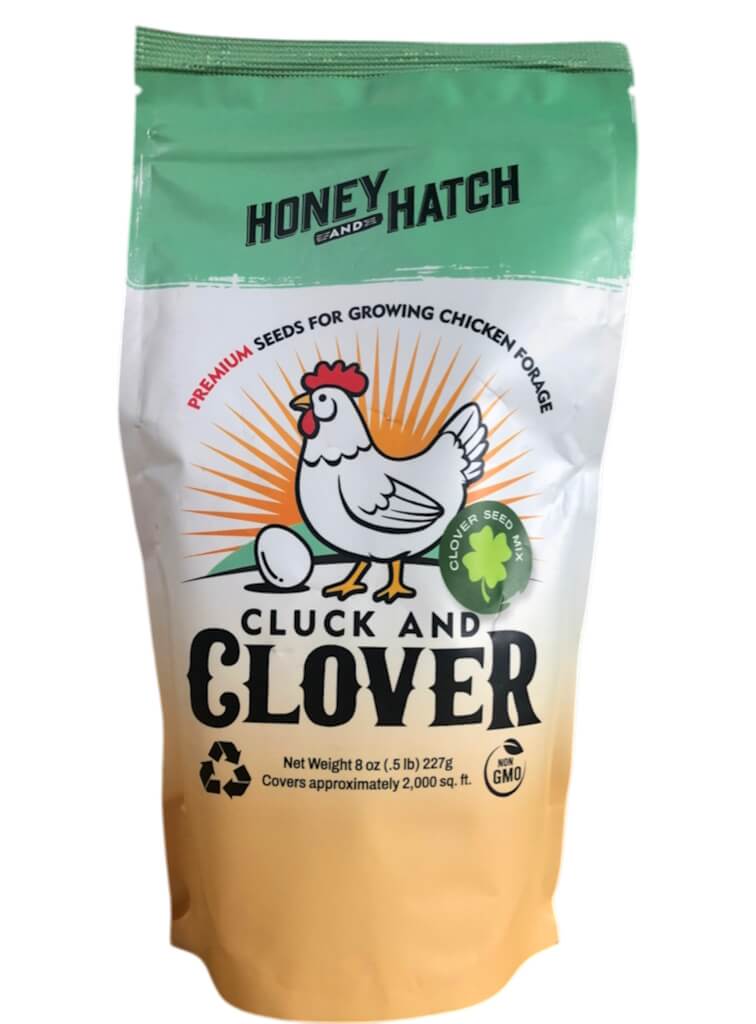 Cluck and Clover Premium Forage Seed Mixture for Feeding and Growing Chickens