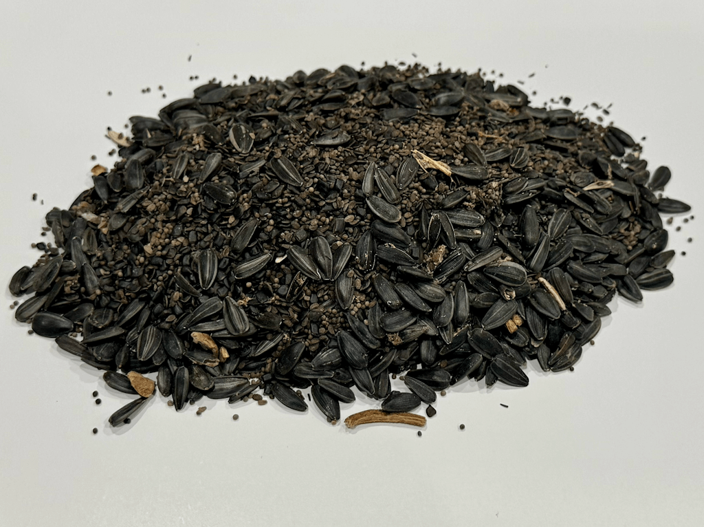 MEADOW MAGIC Annual Premium Wildflower Seed Mix