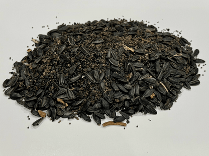 MEADOW MAGIC Annual Premium Wildflower Seed Mix