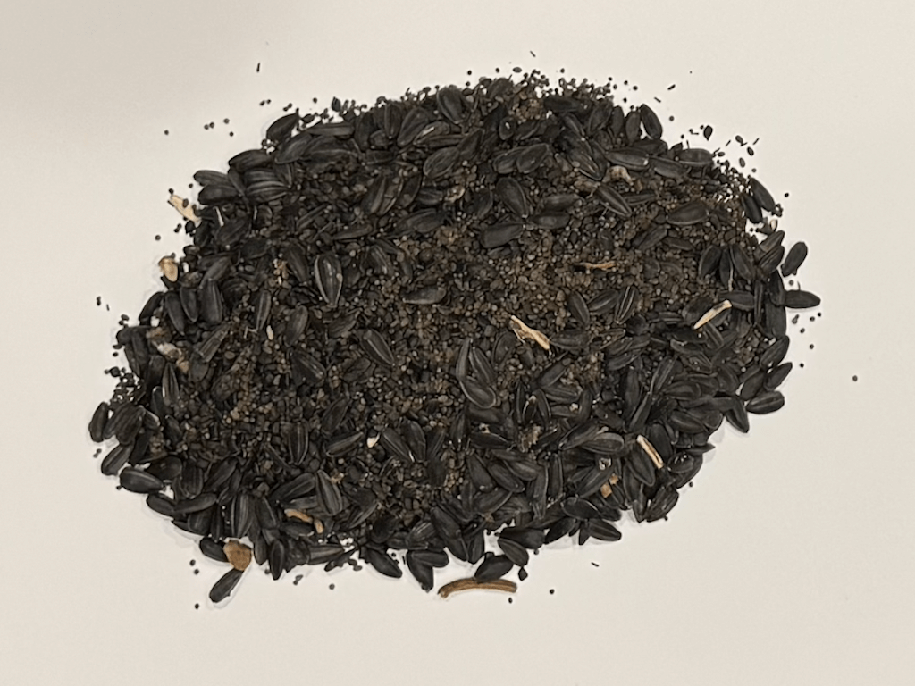 MEADOW MAGIC Annual Premium Wildflower Seed Mix