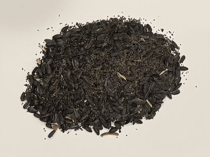 MEADOW MAGIC Annual Premium Wildflower Seed Mix