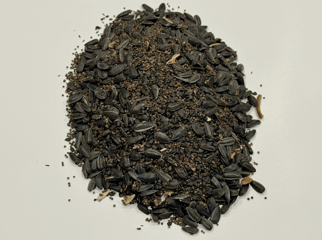 MEADOW MAGIC Annual Premium Wildflower Seed Mix