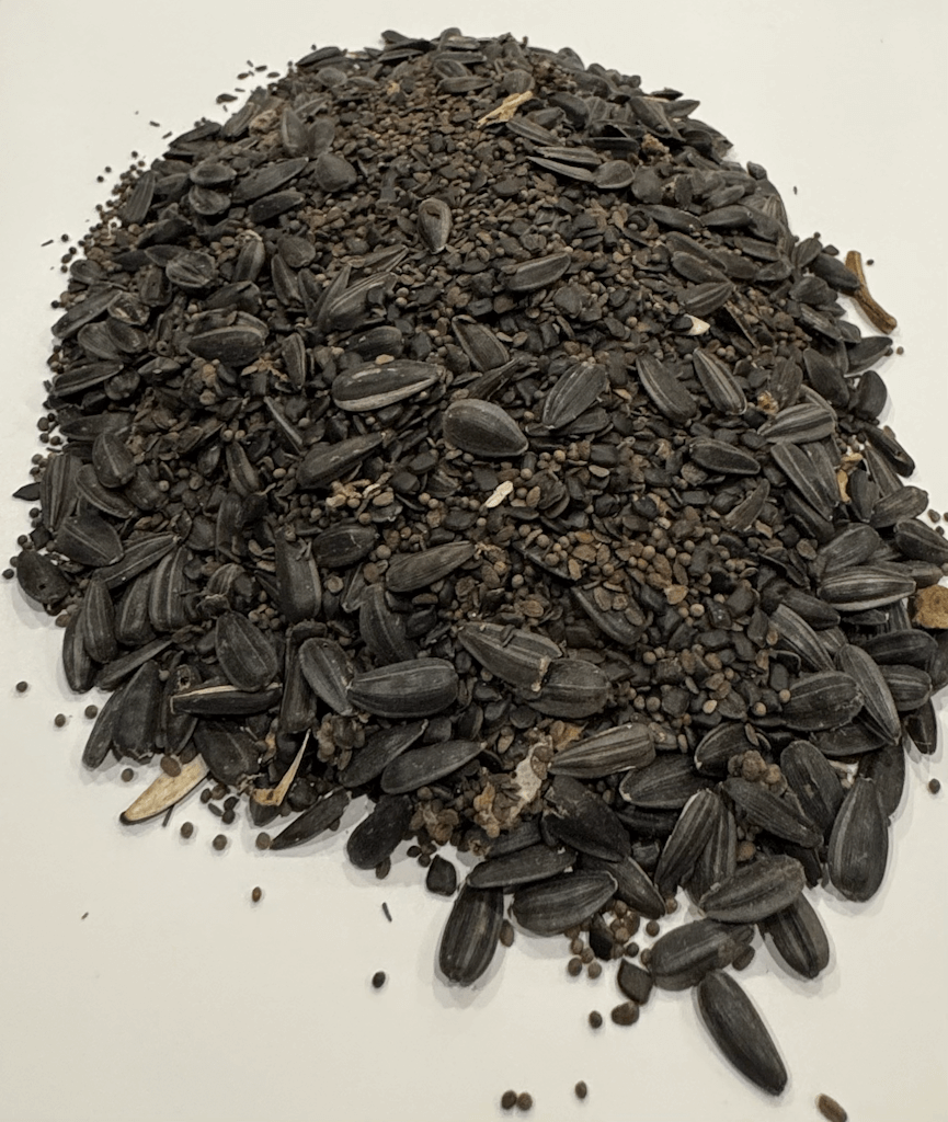 MEADOW MAGIC Annual Premium Wildflower Seed Mix