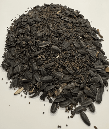 MEADOW MAGIC Annual Premium Wildflower Seed Mix