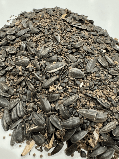 MEADOW MAGIC Annual Premium Wildflower Seed Mix