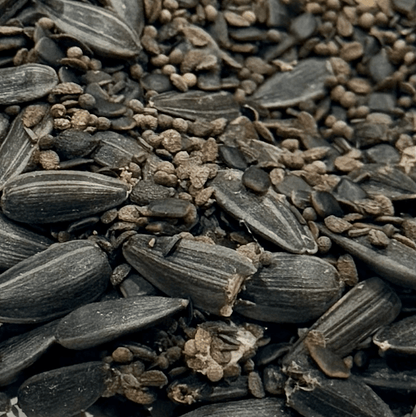 MEADOW MAGIC Annual Premium Wildflower Seed Mix