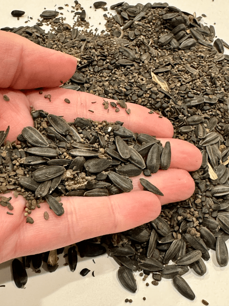 black wildflower seeds Annual Wildflower Seed Mix for Pollinators, 6 oz, Covers 1,000 sq ft