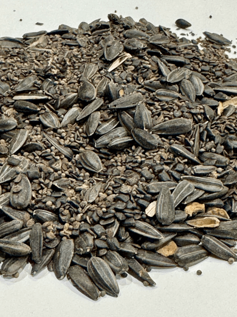 MEADOW MAGIC Annual Premium Wildflower Seed Mix