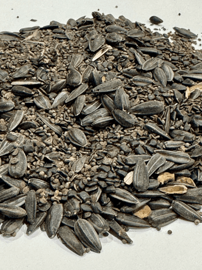 MEADOW MAGIC Annual Premium Wildflower Seed Mix