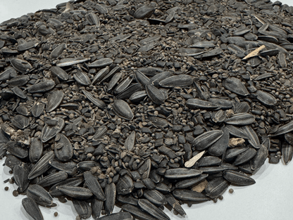 MEADOW MAGIC Annual Premium Wildflower Seed Mix