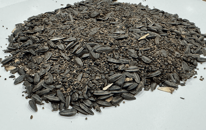 MEADOW MAGIC Annual Premium Wildflower Seed Mix