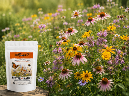 Pollinator Wildflower Seed Mix SAMPLER, Cover 100 sq ft | Nectar and Native