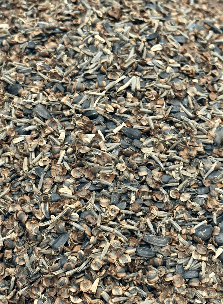 WILDFLOWER WONDER Native Perennial Pollinator Premium Wildflower Seed Mix - 8 oz seed pack