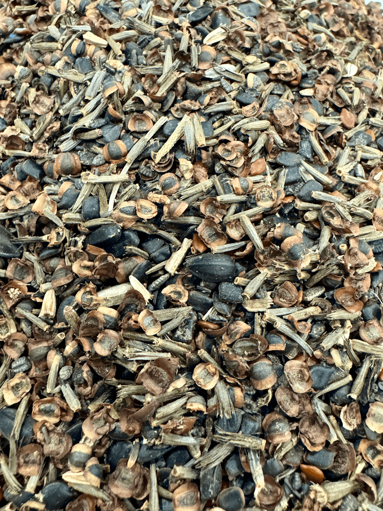 WILDFLOWER WONDER Native Perennial Pollinator Premium Wildflower Seed Mix - 8 oz seed pack