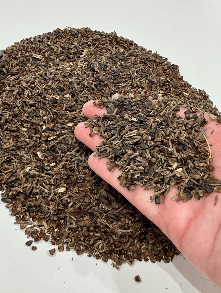 WILDFLOWER WONDER Native Perennial Pollinator Premium Wildflower Seed Mix - 8 oz seed pack