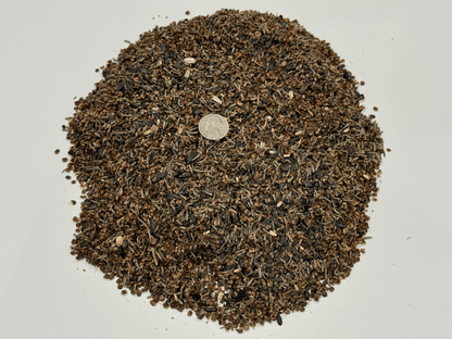 WILDFLOWER WONDER Native Perennial Pollinator Premium Wildflower Seed Mix - 8 oz seed pack