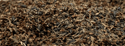 WILDFLOWER WONDER Native Perennial Pollinator Premium Wildflower Seed Mix - 8 oz seed pack